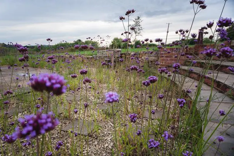 Film location L678 in Kent (photo 36)