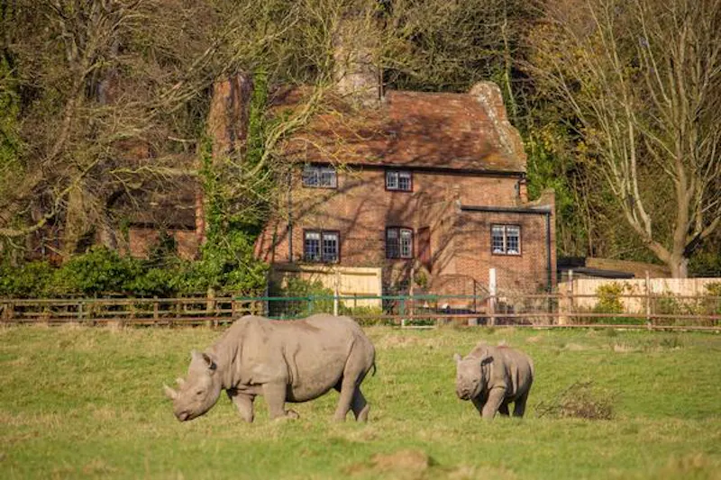 Garden at Exotic Kent wildlife park & hotel, G301 (photo 7)