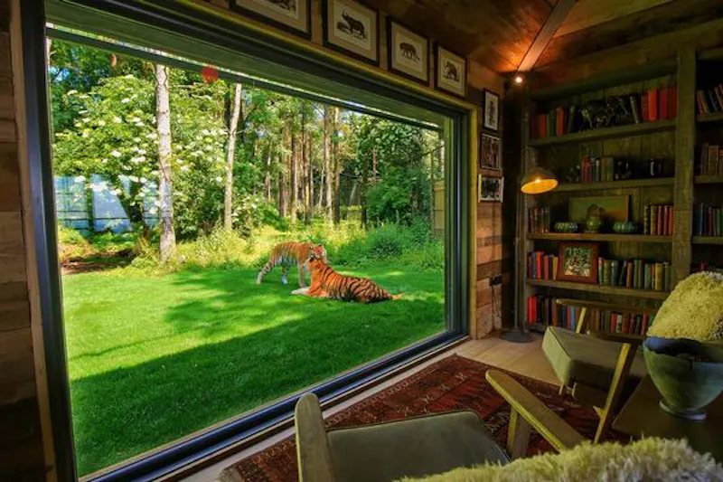 Exotic Kent wildlife park & hotel, G301 (photo 8)