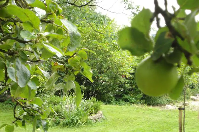 Film location L680 in Somerset (photo 44)