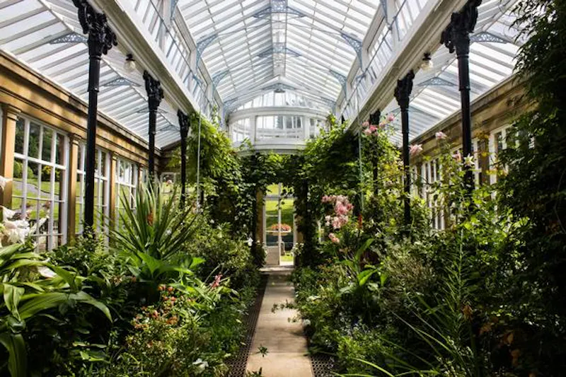 Greenhouse at Spectacular estate near Skipton, G302 (photo 18)