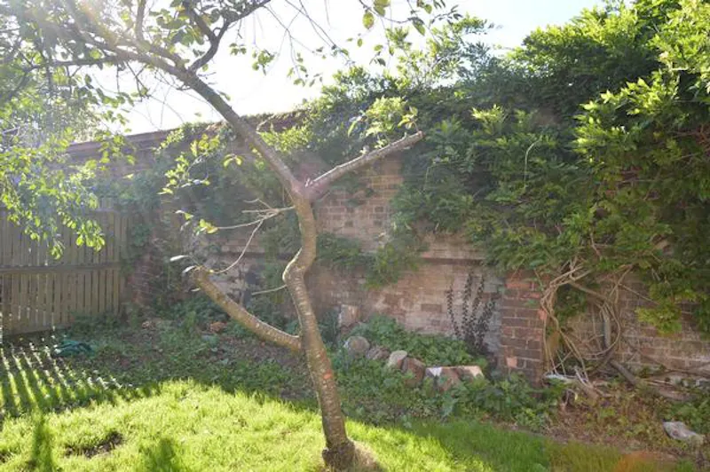 Film location C905 in Surrey (photo 19)