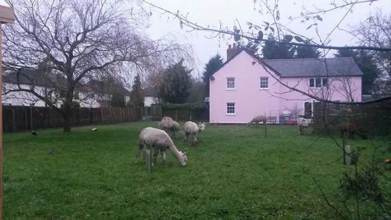 Film location C906 in Essex (photo 10)