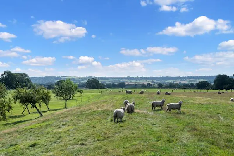 Swindon Queen Anne house, A1501 (photo 47)