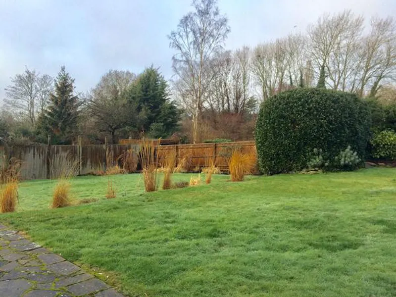 Garden at Film location B1841 in London (photo 11)