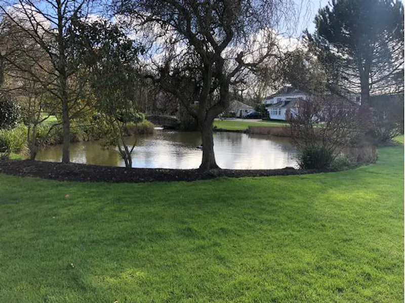 Elegant new build in Windsor , D2387 (photo 13)