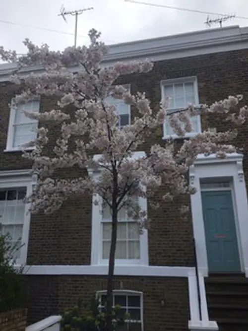Vacant terraced house in Hackney, A1476