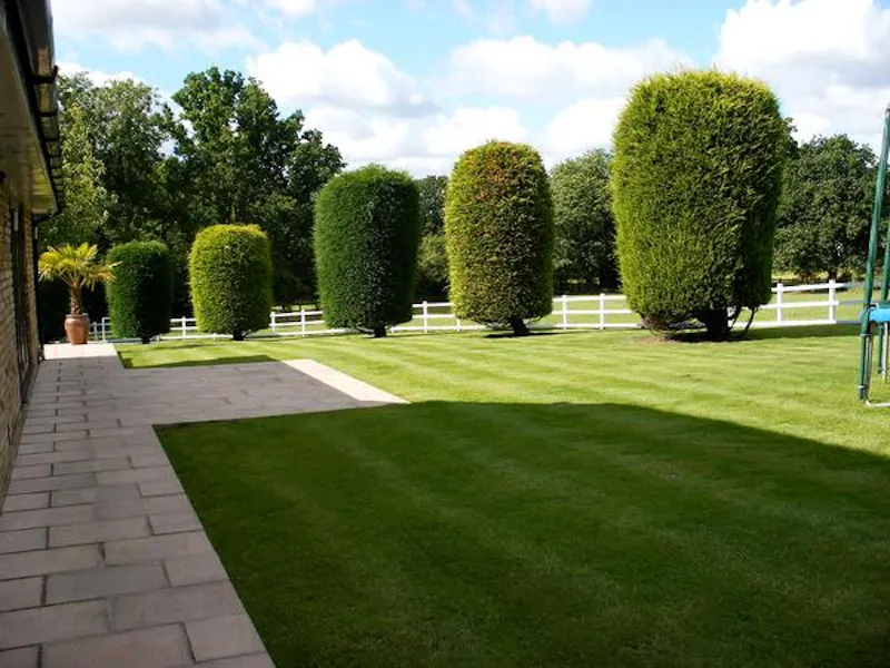 Film location D2391 in Berkshire (photo 18)