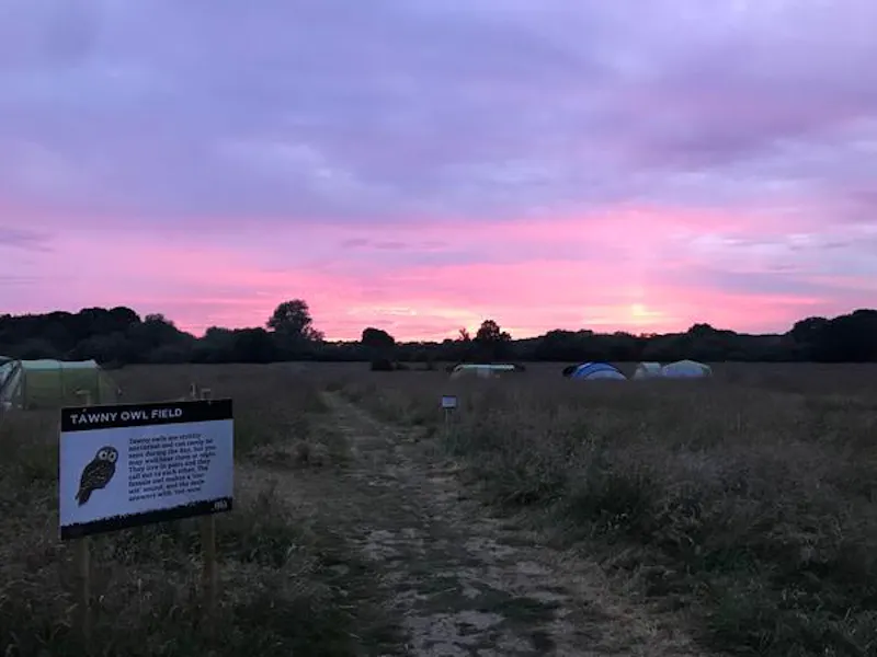 Film location L690 in East Sussex (photo 10)