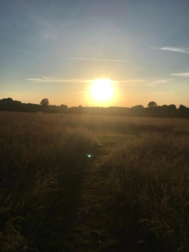Film location L690 in East Sussex (photo 11)