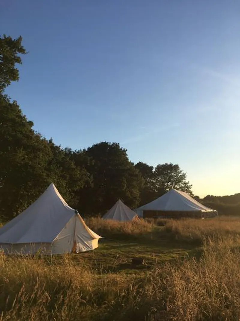 Film location L690 in East Sussex (photo 12)