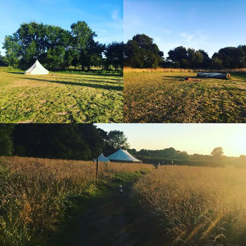 Film location L690 in East Sussex (photo 14)