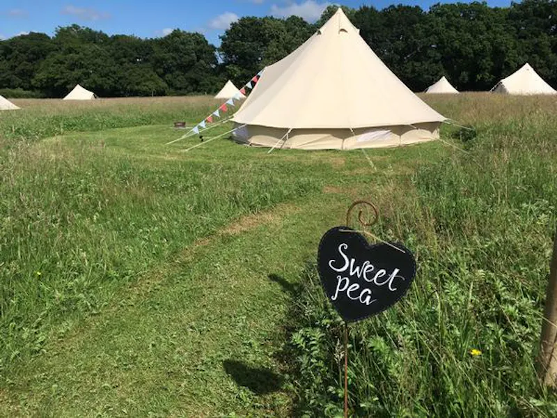 Film location L690 in East Sussex (photo 16)