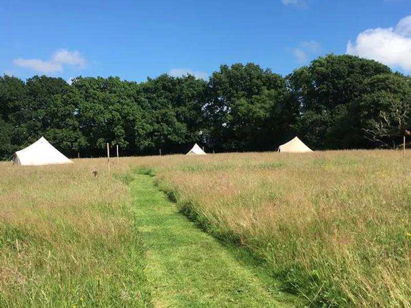 Film location L690 in East Sussex (photo 18)