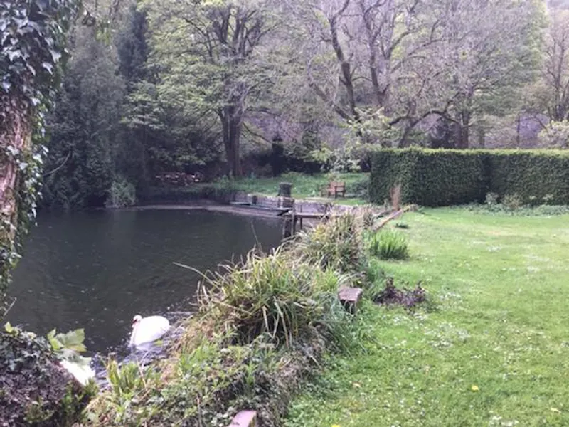 Idyllic 1780's Mill on the Frome , M318 (photo 12)