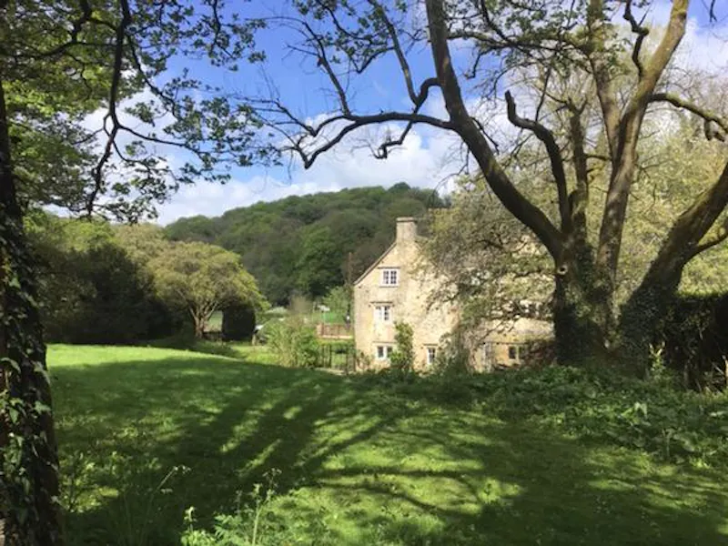 Garden at Idyllic 1780's Mill on the Frome , M318 (photo 4)