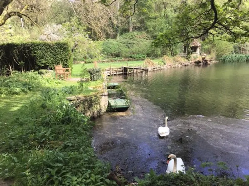 Idyllic 1780's Mill on the Frome , M318 (photo 13)
