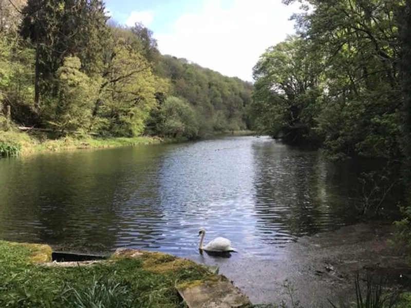 Lake at Idyllic 1780's Mill on the Frome , M318 (photo 14)