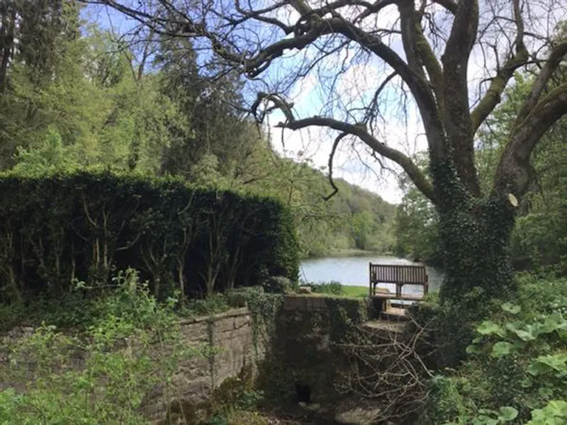 Idyllic 1780's Mill on the Frome , M318 (photo 15)
