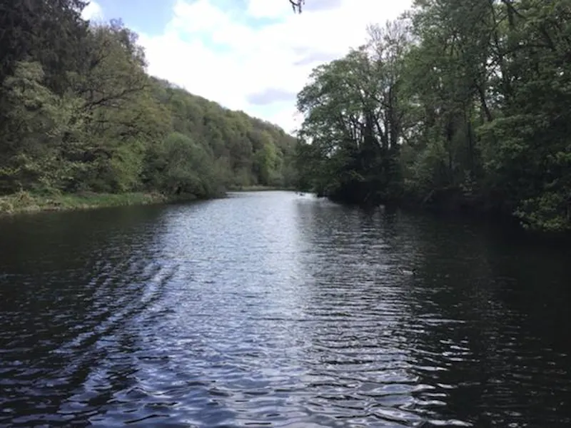 Idyllic 1780's Mill on the Frome , M318 (photo 18)