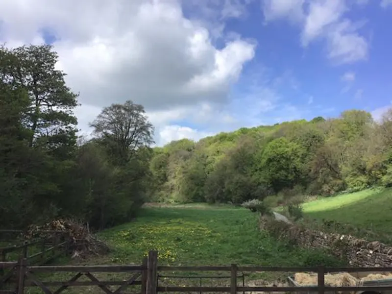 Idyllic 1780's Mill on the Frome , M318 (photo 23)