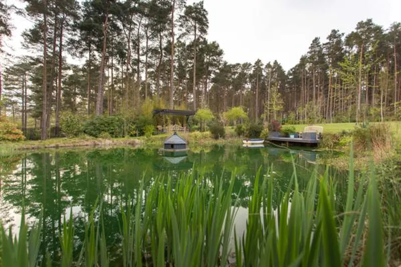 Lake at Ivy covered home in Windlesham, A1478 (photo 38)
