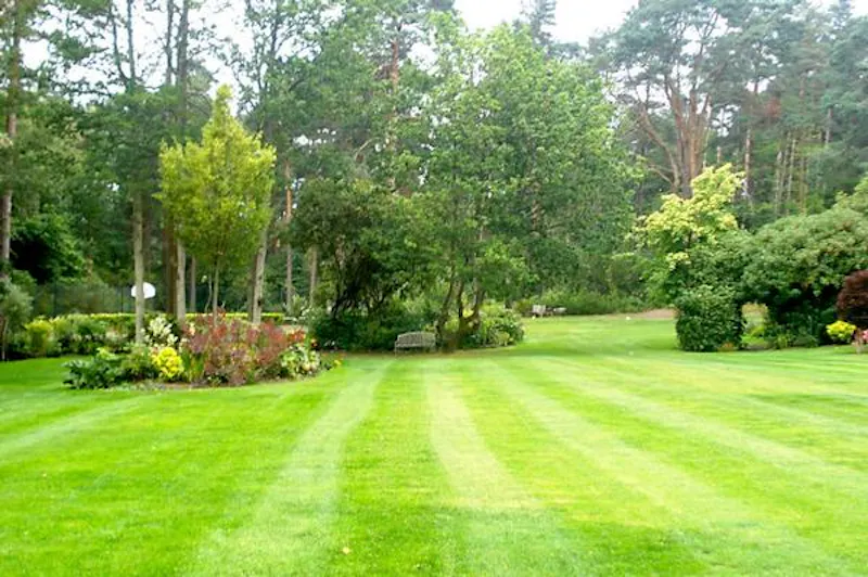 Garden at Ivy covered home in Windlesham, A1478 (photo 39)