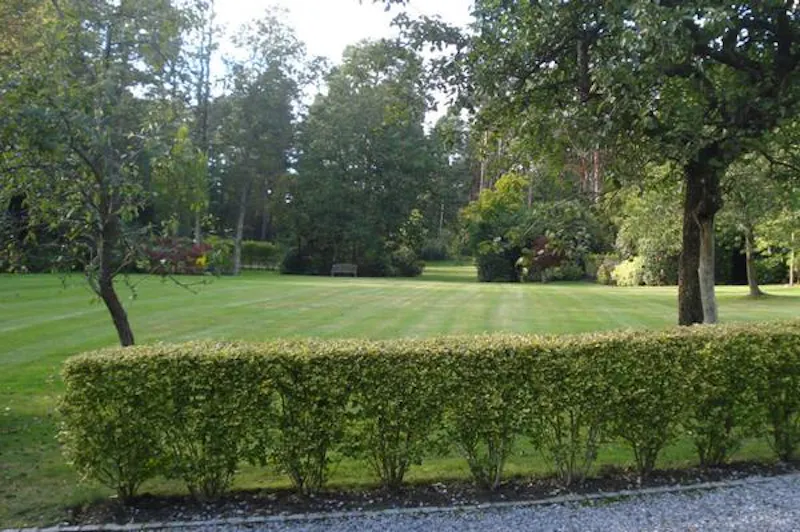 Ivy covered home in Windlesham, A1478 (photo 43)
