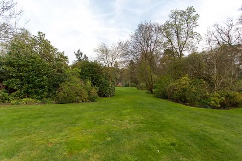Ivy covered home in Windlesham, A1478 (photo 44)