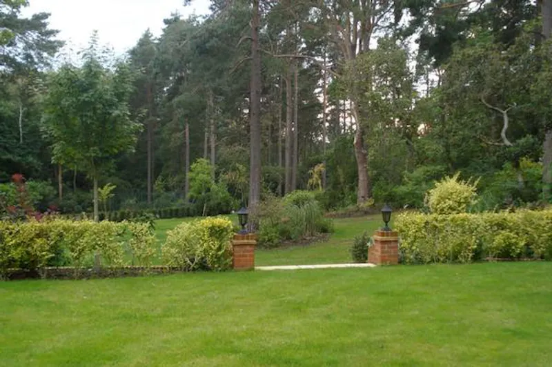 Ivy covered home in Windlesham, A1478 (photo 52)