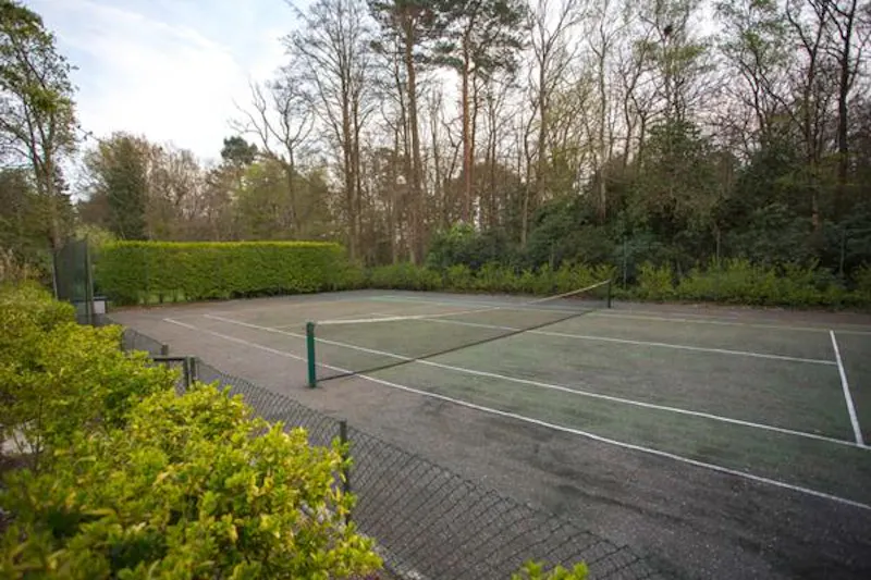 Ivy covered home in Windlesham, A1478 (photo 53)