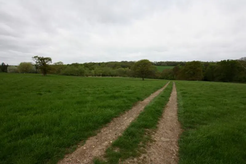 Countryside at Glorious Elstree Georgian Mansion, A1479 (photo 40)