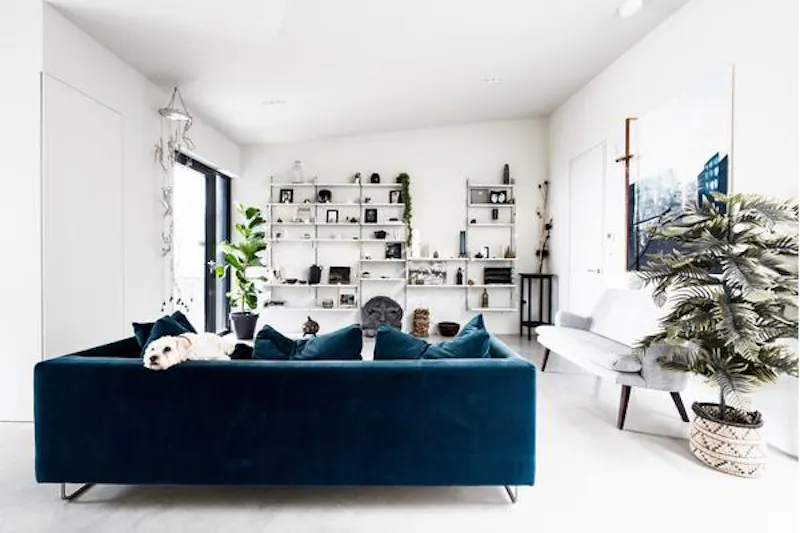 Living Room at Spectacular coastal black box, K441 (photo 6)