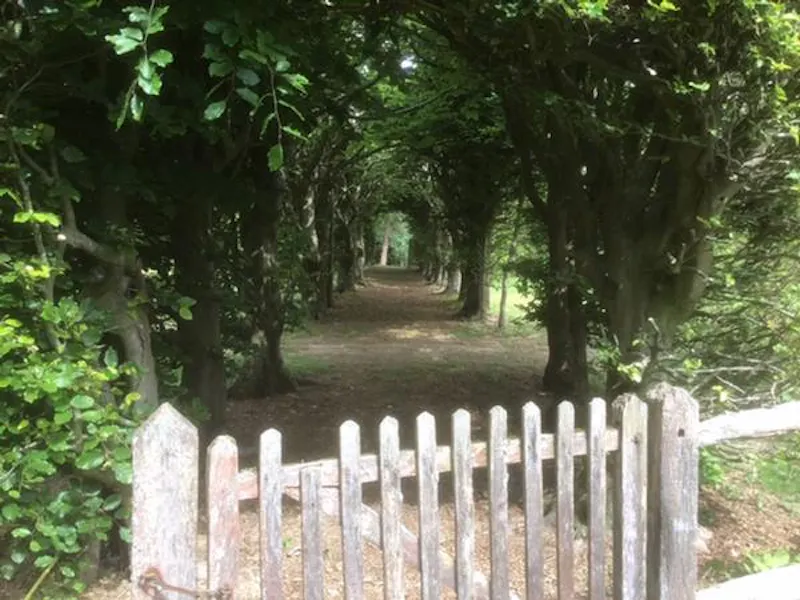 Film location D2401 in West Sussex (photo 11)