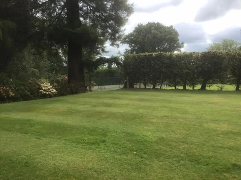 Garden at Film location D2401 in West Sussex (photo 14)