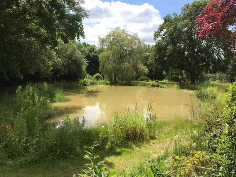 Pond at Large Wadhurst modern home, D2404 (photo 24)