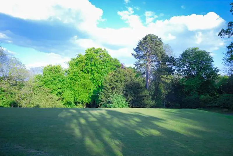 Film location D2406 in Surrey (photo 17)