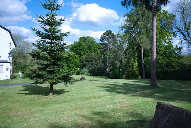 Garden at Film location D2406 in Surrey (photo 24)