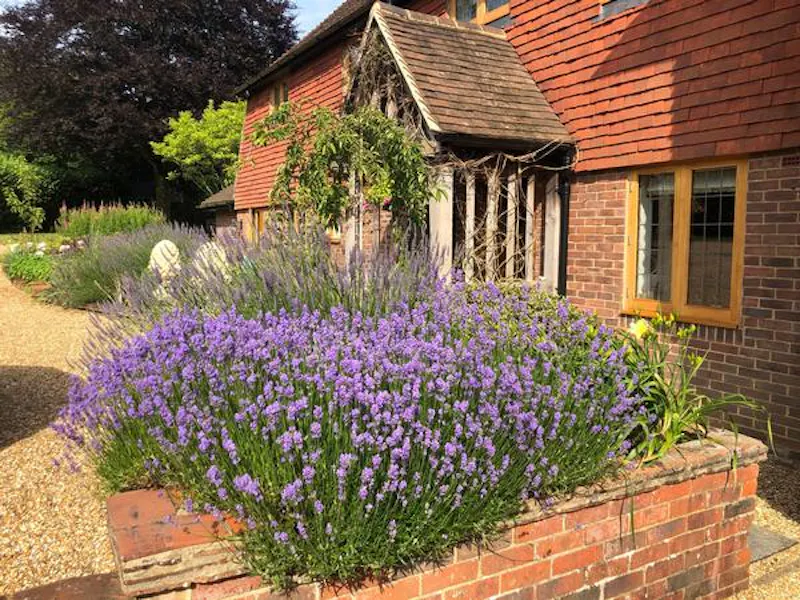 Arts & Crafts in Farnham, D2407 (photo 19)