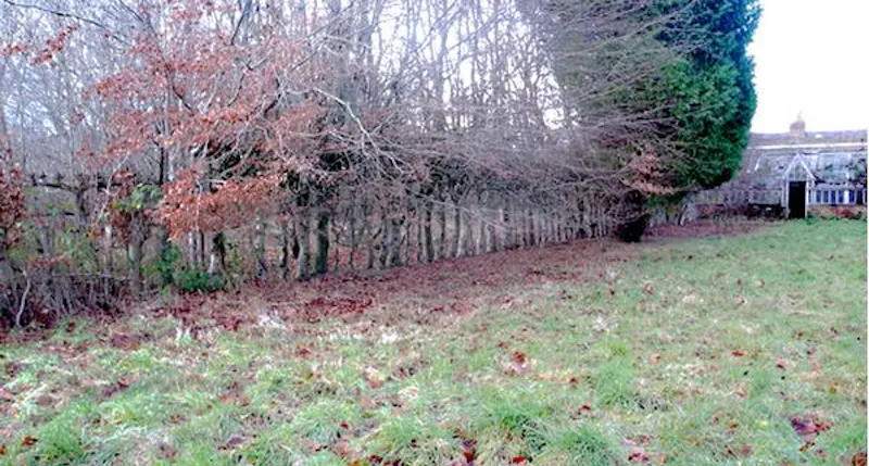 Garden at Neo-Gothic mansion in Forres, G304 (photo 32)