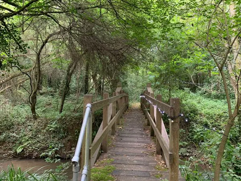 Woodland at Rustic Haywards Heath mill, A1492 (photo 23)