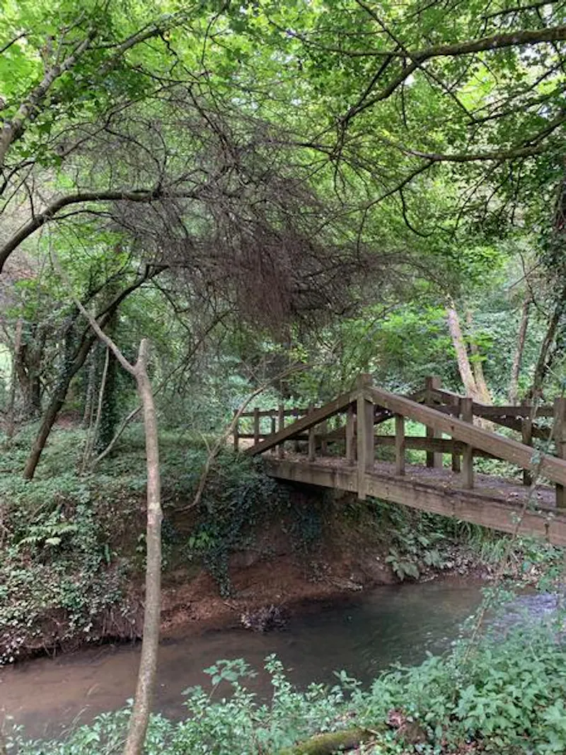 Rustic Haywards Heath mill, A1492 (photo 24)