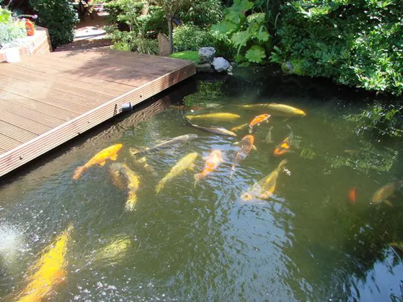 Pond at South Downs L-shaped bungalow, D2417 (photo 31)