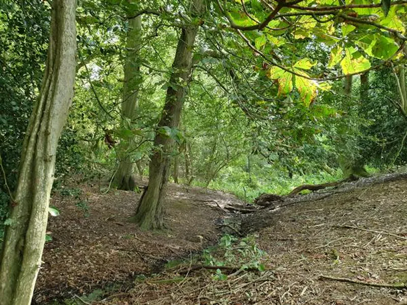 Woodland at Banbury modern barn home, L694 (photo 33)