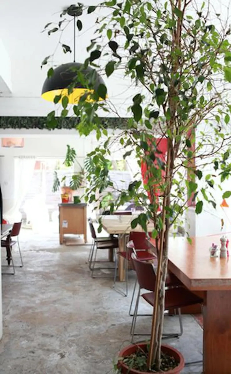 Highgate cafe/bar, R826 (photo 4)