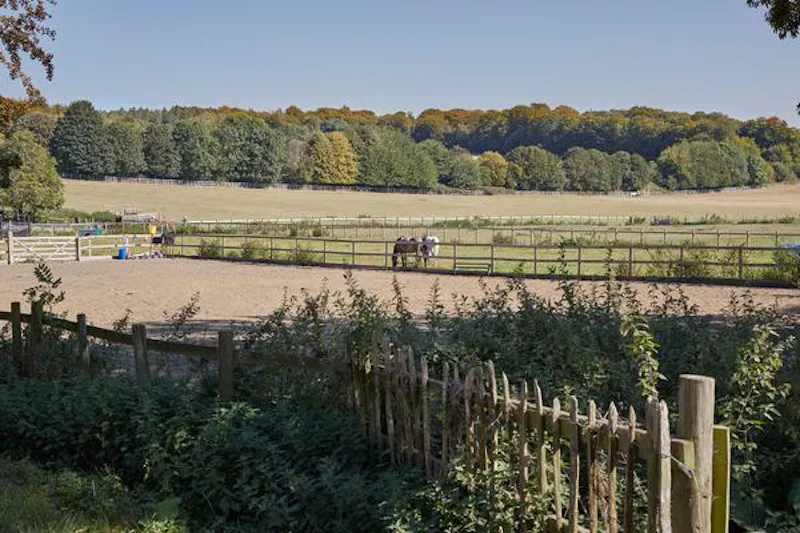 Amersham 400 acre farm, L696 (photo 38)