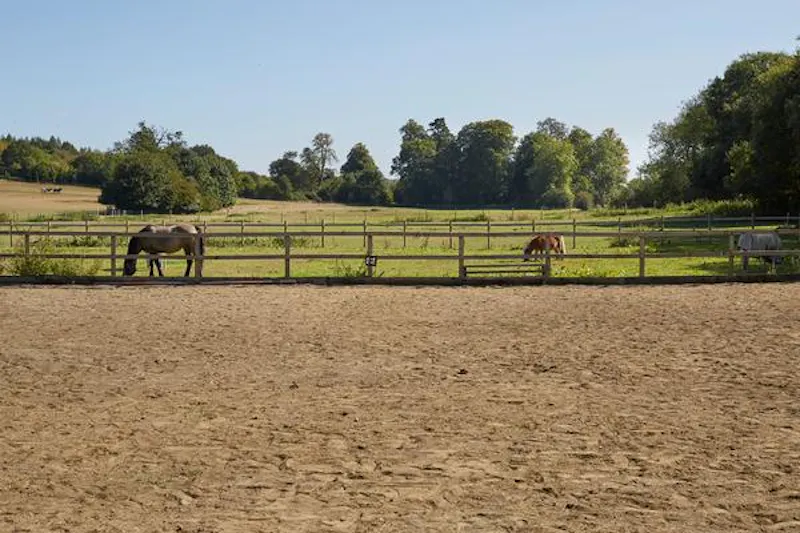 Amersham 400 acre farm, L696 (photo 40)