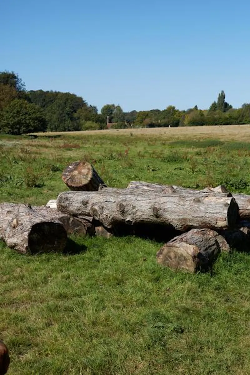 Amersham 400 acre farm, L696 (photo 41)