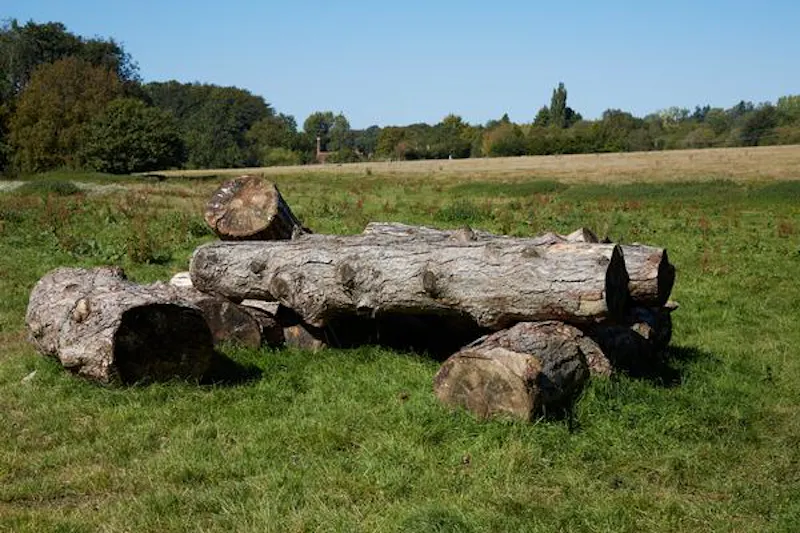 Amersham 400 acre farm, L696 (photo 42)