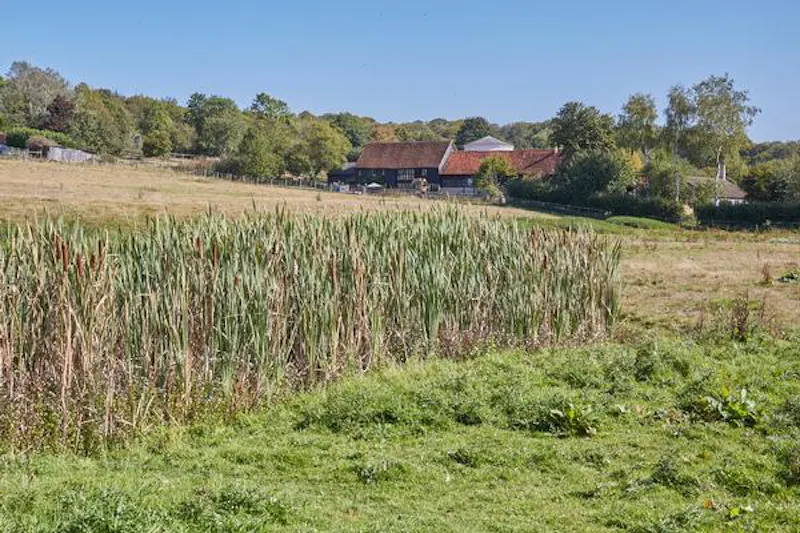 Amersham 400 acre farm, L696 (photo 45)